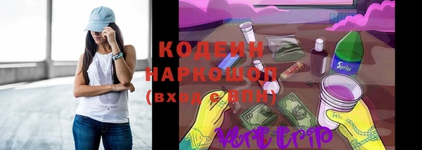 скорость Заводоуковск