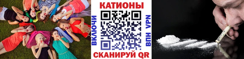 МЯУ-МЯУ мука  Купить где  Струнино 