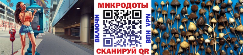 Галлюциногенные грибы Cubensis  Купить закладки  Струнино 